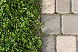 contrasting-outdoor-textures