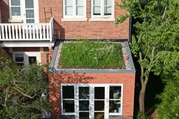 huis met bloemenweide dak