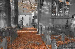 voorbeeld kopie