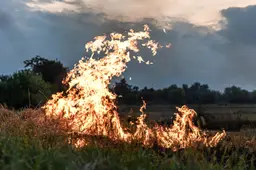 fire-steppe-grass-is-burning-destroying-everything-its-path