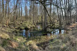 20260903 langs rode beek