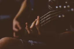 gitaar optreden live