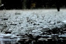 pexels-pixabay-459451-regen