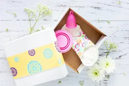 pexels-vanessa-ramirez-720987-1560288