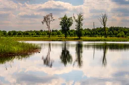 Roosendaalse vennen -(c) André Kivits