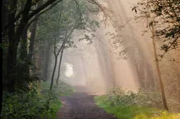 unnamed - 2025-12-11T095206.389