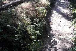 antwerpsestraatweg-124-te-hoogerheide