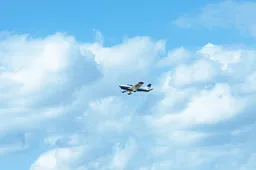 pexels-davdkuko-35237013