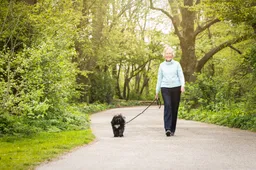 BK-20260415-OOPOEH-hond