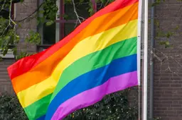 sasel13-pride-flag-4398946