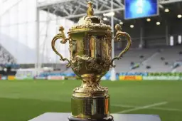 the webb ellis cup the history of the cup that the springboks have won more than any other country