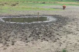 droogte nmrg16606