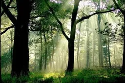 hoge-veluwe