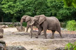 2025-07-Yoga-en-Duna_BH-2