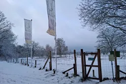 20260103_nc de ginkel sneeuwlandschap