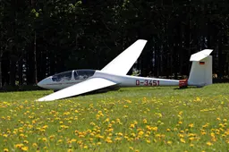 noname_13-glider-3381681