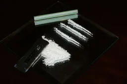 2170100460 2094dd2d6d o cocaine valerie everett cc by sa 20