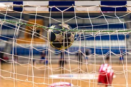 bal op dak van net in handbaldoel