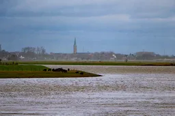 zicht op maaseik vanaf hoogwaterbrug bij illikhoven 6 januari 2025