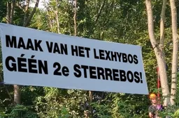 lexhybos geen tweede sterrebos