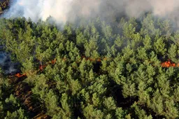 bosbrand gezien vanuit helikopter