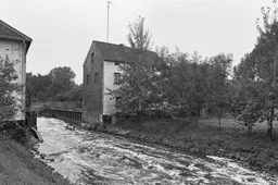 rimburg worm
