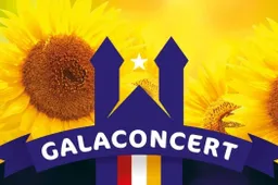 poster zonnebloem top