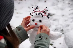 Sneeuwpop Iva Balk Pixabay