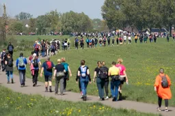 wandelaars in veld - Copy