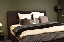 Boxspring Skylar Kang Pexels