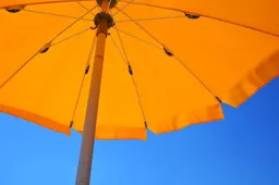 yellow-parasol adonyig, Pixabay