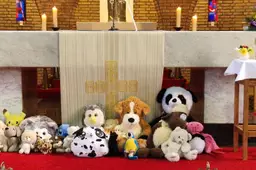 dierenzegening 02