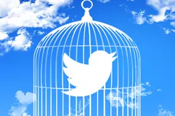 Enge ontwikkeling! Twitter test softe censuur: gebruikers kunnen stemmen op 'schadelijk misleidende' tweets