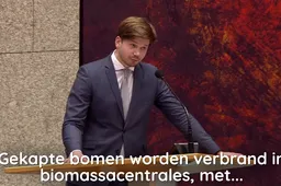 Gideon van Meijeren (FVD) kritisch op GroenLinks-plannen voor biomassa en windturbines: 'Jullie klimaatbeleid maakt de Nederlandse natuur kapot!'