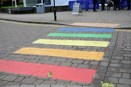 Regenboogvlaggen en regenboogzebrapaden werken niet in de strijd tegen homohaat. Lokhomo's wél