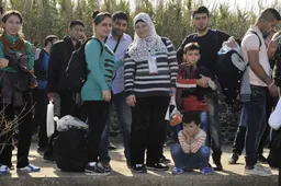 GroenLinks wil meer vluchtelingen van Griekse eilanden naar Nederland halen: 'Geef ze een nieuwe toekomst'