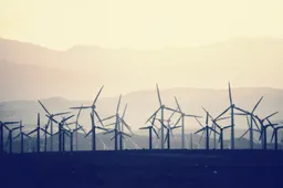 Forum voor Democratie wil een 'reële oplossing voor het energievraagstuk' en 'geen windmolens'