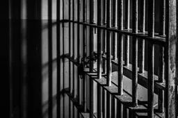 Slechts 12 maanden cel voor tiener 'pedojagers' na fatale mishandeling 73-jarige man