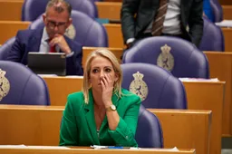 Lilian Marijnissen wil einde aan verzorgingshuis-chaos: SP pleit voor 'zorgbuurthuizen'