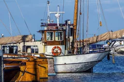 Franse visserij valt weer onze vissers aan: nu zijn de zegenvissers het doelwit!