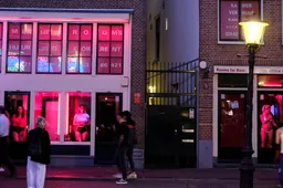 D66'er Paulusma jast prostitutiemotie door Tweede Kamer: 'Regel sekszorgers voor mensen met een beperking'