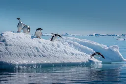 Kouder dan ooit! Antarctica getroffen door LAAGSTE TEMPERATUREN OOIT