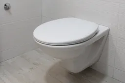 Van plan om een nieuw toilet te kopen? Houd rekening met de volgende aspecten