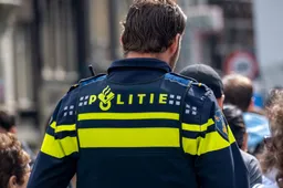 Linkse Woke zeiksnorren kunnen weer steigeren, zeuren en huilen: politie etnisch profileert erop los