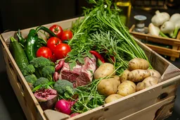 Trump-administratie keert voedselpiramide om: Geen onderdrukking meer van onwelgevallig voedingsonderzoek – Makary hamert erop