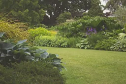 Een bloeiende tuin: tuinplanten verzorgen per seizoen