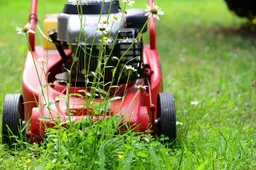 Tuinonderhoud voor in de zomer; dit is wat je moet doen