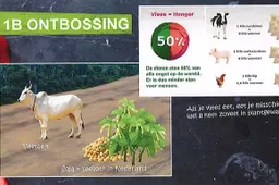 -Cultuur onder Vuur- Greenpeace trekt anti-vlees lespakket in na oordeel van Reclame Code Commissie