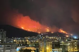 Kijk dan! Enorme branden bij Izmir - de derde stad van Turkije: "Izmir staat in de fik!"