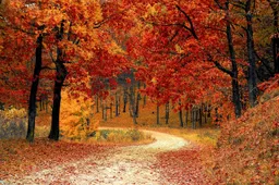 Hardlopen in de herfst? 3 tips!